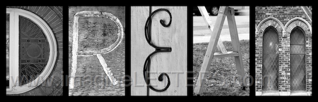 Wall_Art_Alphabet_Photography_Art_ 487.jpg